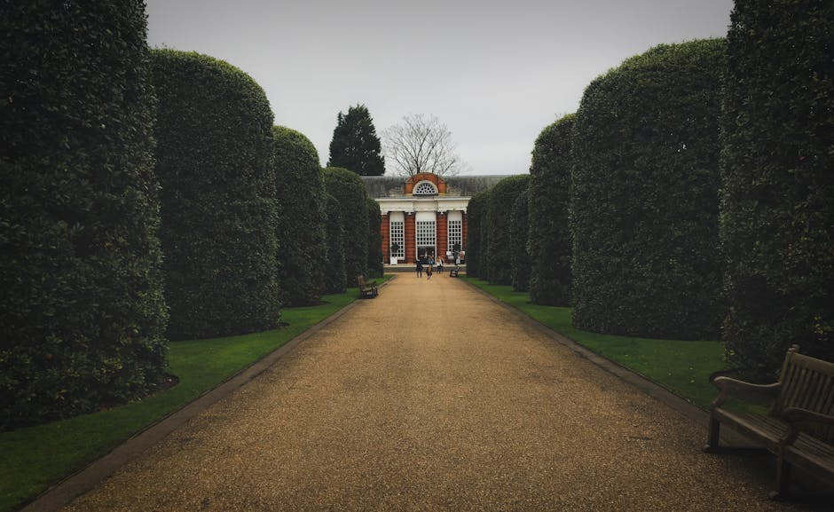 Same day rubbish removal Kensington Palace area