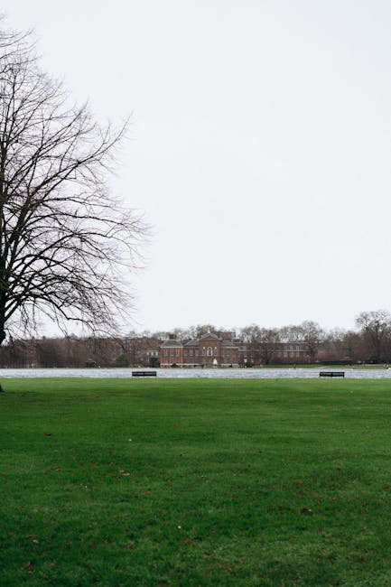 A straight, wide gravel pathway leading towards a Georgian-style building with a white and red brick facade, set within a park-like environment. Tall, neatly trimmed, rounded green hedges line both si